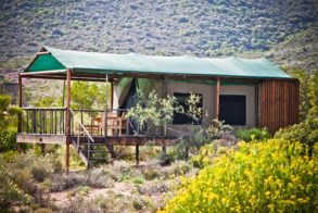 15178163_10154890134934284_2895590452145979126_n