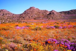 261345_10150246137054284_7747152_n