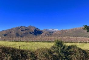 36690356_877696349085456_2814284845486702592_n