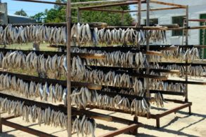 395077_323599124339663_1897477489_n