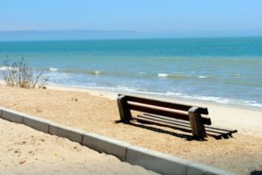 401568_323599244339651_154995944_n