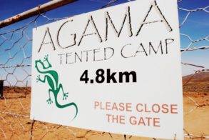 416811_343411749025067_1152783913_n