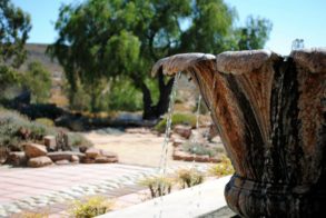 424669_346910555341853_855609950_n