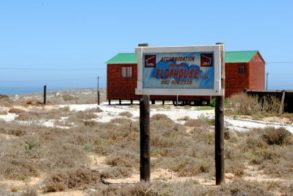 426572_346911212008454_1251956669_n