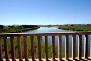 427443_360047800694795_1094645438_n