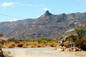 431268_346911638675078_356195200_n