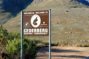 529619_567340923298814_1176194148_n