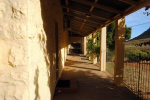 533929_567341813298725_23832954_n