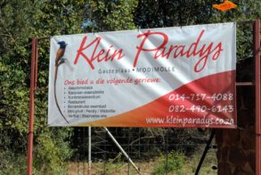 540212_396015820431326_1274200213_n