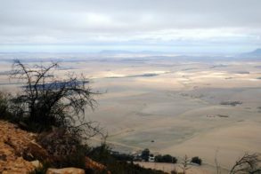 540650_567343326631907_1635828125_n