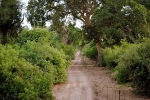 546611_387245871308321_129476838_n