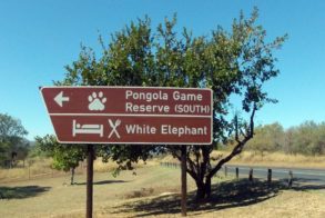 547091_414326835266891_1303218870_n