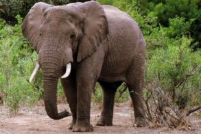 554393_387244084641833_1322921123_n