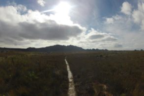 558988_567343406631899_613105600_n