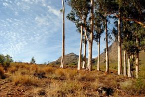 562488_567342016632038_498351353_n