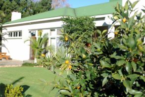 576146_456225427743698_326343326_n