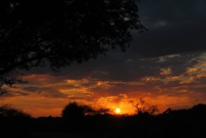 576266_387250724641169_1475773703_n