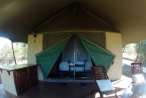 577035_414326381933603_746900932_n