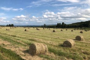 61725198_2495720023805417_8653638169704529920_o