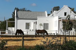 61748493_2205840239509690_7259732123202879488_n