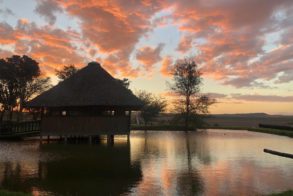 68788783_2647917091919042_5582446634182115328_o