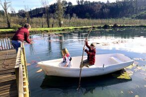 Houw Hoek Hotel Pond