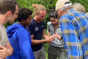 SWE-image-bushknowledge