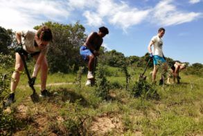 SWE-image-sustainability