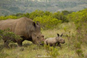 16716328_1409496905747838_9181053413755986929_o