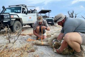 79884459_3205827779444172_7585867930793934848_o