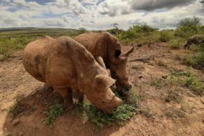 88107407_1520899178083399_731694717355425792_o