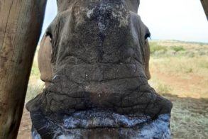 89417995_1529222990584351_5405504044695289856_o