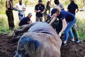 92146607_3484048041622143_4363244747586797568_n