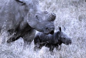 Photo 08-08-2019, 15 27 14