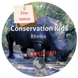 Rhinos (Conservation Kids)