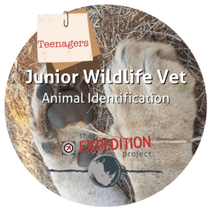 Animal Identification (Junior Wildlife Vet)
