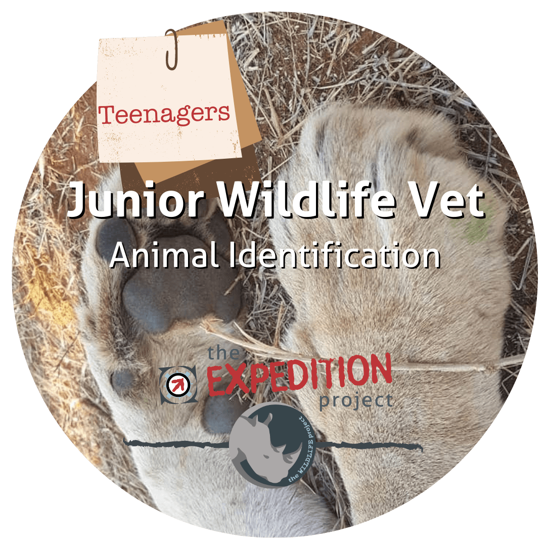 Animal Identification (Junior Wildlife Vet) - The Expedition Project