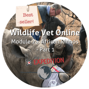 African Rhinos - Part 1 (Wildlife Vet Online)
