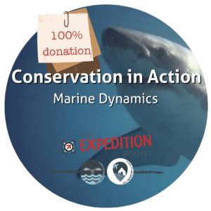 Marine Dynamics (Conservation In Action)
