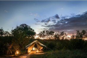 Photo 14-01-2021, 11 03 11