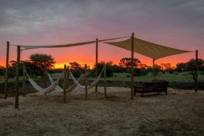 Working with Wildlife Camp 2