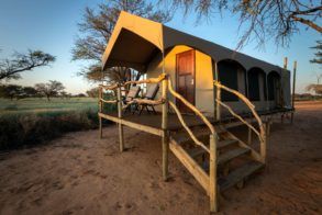 Working with Wildlife Camp Tented Camp