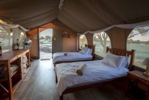 Working with Wildlife Camp Tents