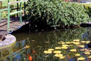 springfontein-accomodation-10