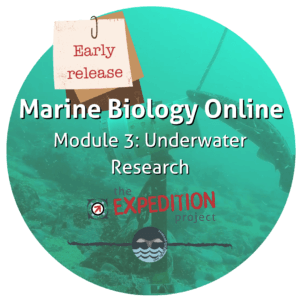 Underwater Research (Marine Biology Online)