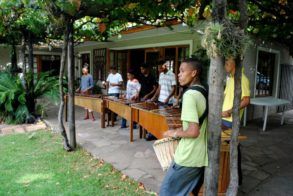 amaWolseley Marimbas TEP 2013 6