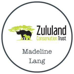 Madeline Lang (Zululand Conservation Trust)