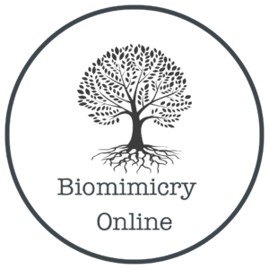 Biomimicry Online