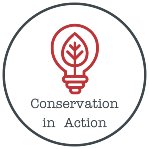 Conservation in Action