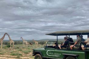 Sable Ridge Safaris